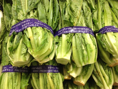 內(nèi)蒙古耗材 內(nèi)蒙古耗材