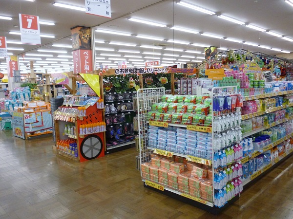 呼和浩特市貨架 呼和浩特市貨架