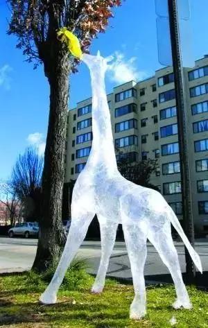 透明的封膠帶雕塑